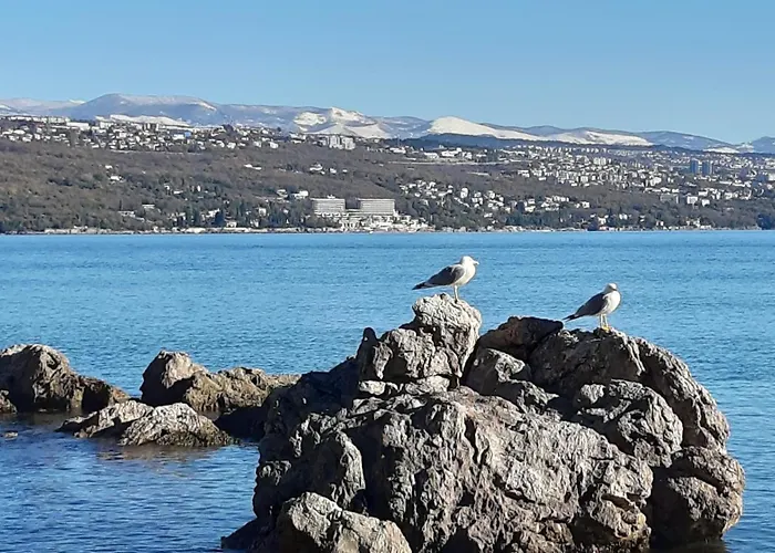 Διαμέρισμα Dora Οπατία